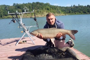 Ульяновский амуревич